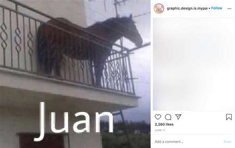 juan caballo memes|whose horse is that meme.